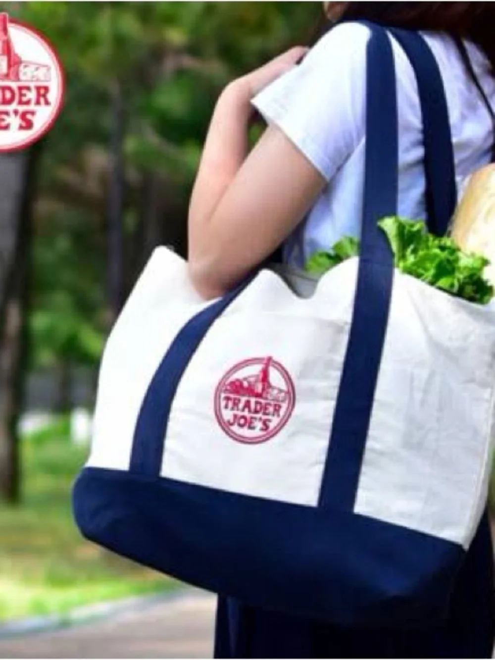 Trader Joe's Large Cream and Navy Canvas Tote Bag
